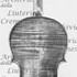 1858Violino c.jpg