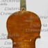 1864Violino c.jpg