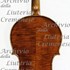 1870cViolino3 c.jpg