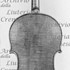 1879Viola c.jpg