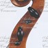 1880ViolinoPiccolo d.jpg