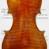 1888c.Violino c.jpg