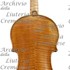 1890cViolino c.jpg