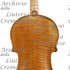 1890cViolino c.jpg