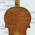 1898Violino c.jpg