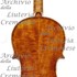 18xxViolino2 c.jpg