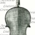 1900cViolino c.jpg