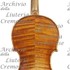 1905Violino c.jpg