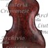 1906Contrabbasso c.jpg