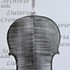 1906Violino2 c.jpg