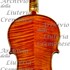 1906Violino3 c.jpg