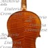 1908Violino2 c.jpg