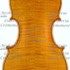 1910Violino c.jpg