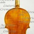 1912Violino2 c.jpg