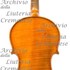 1914Violino5 c.jpg