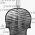 1919Violino c.jpg