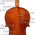 1920Violino2 c.jpg