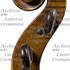 1920Violino3 d.jpg