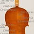 1923Violino3 c.jpg