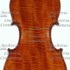 1923Violino c1.jpg