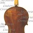 1923Violino c.jpg