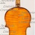 1925 Violino3 c.jpg
