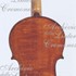 1925Violino c.jpg