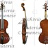 1927Violino2 f2.jpg