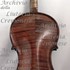 1928cViolino c.jpg