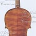 1929Violino c.jpg