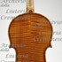 1949Violino c.jpg