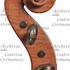 1968Violino d.jpg