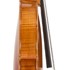1977Violino b.jpg 1977Violino b.jpg