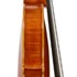 1979Violino b.jpg