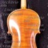 1981Violino2 c.jpg