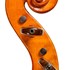 1981Violino2 d.jpg