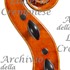 1984 Viola d.jpg