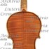 1984Violino c.jpg