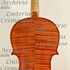 1985Violino c.jpg