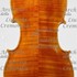 1985Violino b.jpg