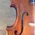 1991Viola a2.jpg