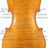 1992Violoncello c.jpg