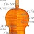 1995Violino c.jpg