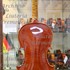 2008Violino c.jpg