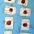 MsCozio94-5-12 a.jpg