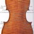 Sd Violino c.jpg