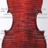 Violino c.jpg