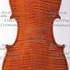 Violino c.jpg