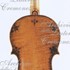 ViolinoNMM3366 c.jpg