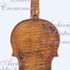 ViolinoOxford c.jpg